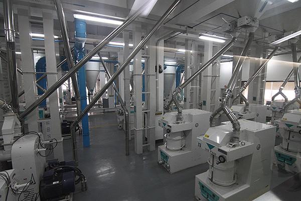 大米加工設備廠家如何控制稻谷的質(zhì)量(圖1)